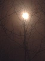 /home//u458753944/public_html/sourcegallery/////////////////////////other/races/Total Solar Eclipse Rogaine 2024/IMG_20240408_144058985.jpg